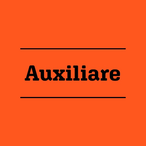 Auxiliare lp nou