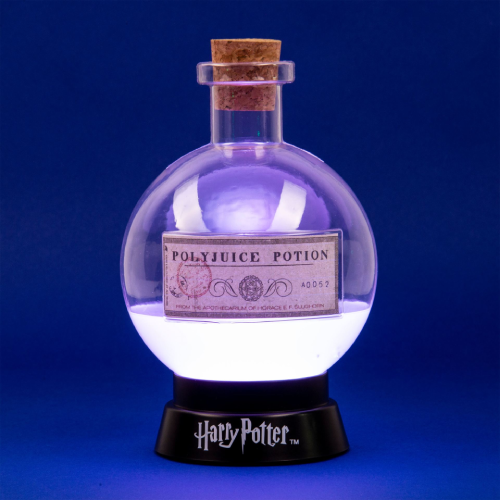 Raft harry potter deco